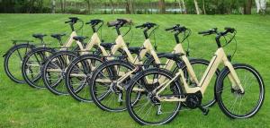rząd rowerów zaparkowanych na trawie w obiekcie Autour Des Vignes w mieście Herry