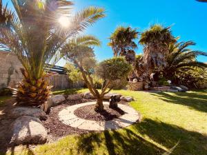 Santec的住宿－Villa du Sieck 5 étoiles，棕榈树花园中的一棵小树