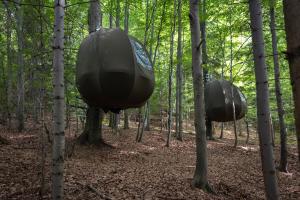 two black objects hanging from trees in the woods at WisiLas Nad Sercowym Potokiem in Rabka-Zdrój