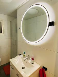 a bathroom with a sink and a mirror at Ferienhaus LuxChalet VAJU IJsselView direkt am Fluss See Pool Park in Lathum