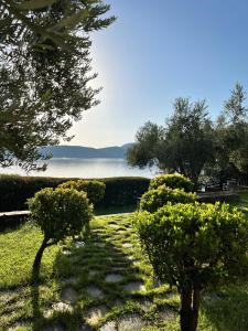 a garden with trees and a view of the water at Villa Liana in Soúrpi