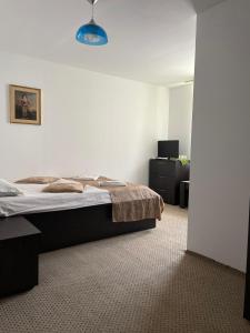 a bedroom with a bed and a dresser in a room at Casa Anastasia - Moieciu de Sus in Moieciu de Sus