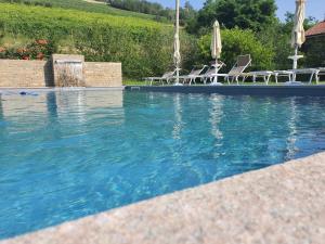 a swimming pool with chairs and umbrellas next to it at Agriturismo Cascina L'Arché in Santo Stefano Belbo