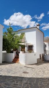 a white building with a tree in front of it at CASA JUANITO PEÑA in Parauta