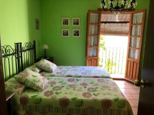 a bed in a bedroom with green walls at CASA JUANITO PEÑA in Parauta