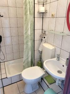 uma pequena casa de banho com WC e lavatório em Nad Jeziorem Domki i Pokoje 781-281-434 em Polańczyk