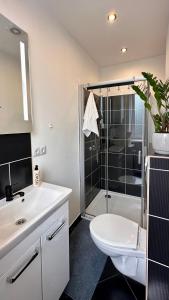 y baño con ducha, aseo y lavamanos. en LILLE`S apartment in city center, en Alūksne