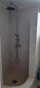 a shower with a shower head in a bathroom at Kytherea Luxury Apartments in Livadi