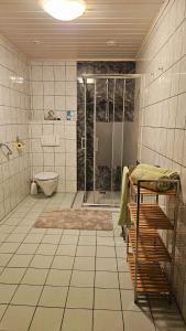 y baño con ducha y aseo. en Ferienwohnung Strohmaier, en Kitzeck im Sausal
