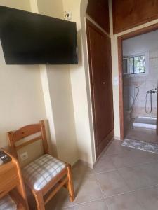 a room with a tv and a chair and a shower at ANESIS I in Livadion