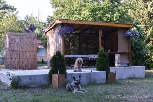 a dog sitting in the grass next to a dog house at Вили Водно Конче Villas Vodno Konche in Ahtopol