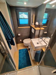 a small bathroom with a sink and a toilet at Tiny House Ithblick direkt am See in Salzhemmendorf