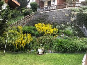 Taman di luar Snowflake-Ski in & out next to Matterhorn Express