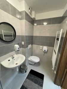 a bathroom with a sink and a toilet and a mirror at Ubytovanie HAMAR 17 in Banská Bystrica