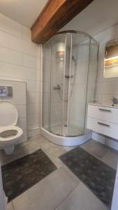 a bathroom with a shower and a toilet at Syrenka Apartamenty in Ustka