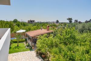 uma vista para um jardim a partir do telhado de uma casa em Elli's apartment 1 em Antimácheia