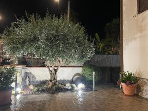Zahrada ubytování Villa Rea comfort e relax