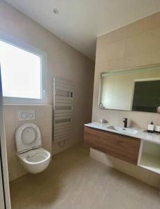 La salle de bains est pourvue de toilettes, d'un lavabo et d'un miroir. dans l'établissement Villa plain pied vue terrasse, à Port-Vendres