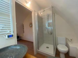 ein Bad mit einem WC und einer Glasdusche in der Unterkunft Entre Tarn et Causses in Le Recoux