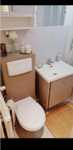 a bathroom with a white toilet and a sink at Un temps pour soi in Châteauroux