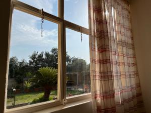 a window with a view of a palm tree at A 2 passi dal mare II - grazioso trilocale a Locri in Locri