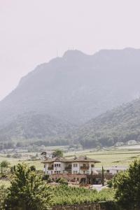 una casa en un campo con una montaña en el fondo en Weinberghof, en Appiano sulla Strada del Vino