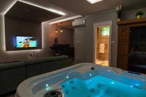 TV a/nebo společenská místnost v ubytování Level 2 Spa Apartman