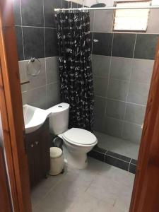 a small bathroom with a toilet and a sink at Karipidis houses in Nea Iraklia