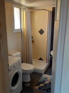 een badkamer met een toilet en een wasmachine bij Ηλιαχτίδα Iliachtida apartment in Chios