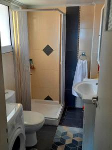 een badkamer met een douche, een toilet en een wastafel bij Ηλιαχτίδα Iliachtida apartment in Chios