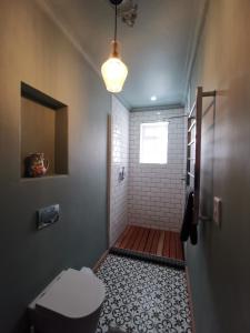 a bathroom with a shower with a toilet and a window at Greyton Toad Hall Guesthouse - no load shedding in Greyton