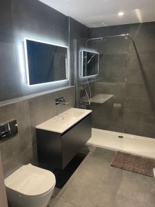 uma casa de banho com um WC, um lavatório e um chuveiro em Modern 1 bedroom apartment close to Penzance town centre. em Penzance