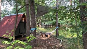 a hammock and a tent in the woods at Abenteuercamp Schaeferhof Hütten oder Stellplatz für kleinen Camper oder Zelt in Cottbus