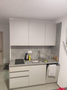 Kuchyň nebo kuchyňský kout v ubytování Studio apartman Tombo