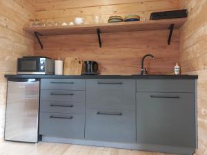 uma cozinha com electrodomésticos de aço inoxidável e paredes de madeira em Bieszczadzka Polana - domki turystyczne/sezonowe em Lutowiska
