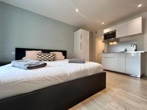a bedroom with a large bed and a kitchen at Tour d'Auvergne - Appartements en plein centre ville, proche de la cathédrale et de la place de Jaude in Clermont-Ferrand