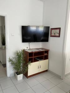 TV a/nebo společenská místnost v ubytování Petra