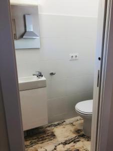 uma casa de banho com um lavatório e um WC em Casa particular en Renedo de Cabuérniga em Renedo