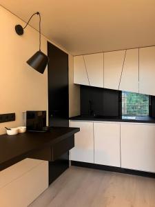 eine Küche mit weißen Schränken und einer schwarzen Arbeitsplatte in der Unterkunft Chalet Park by Maier Höchst in Höchst