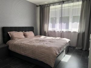 a bedroom with a large bed with a window at Cozy apartment in Jūrmala +2 photos