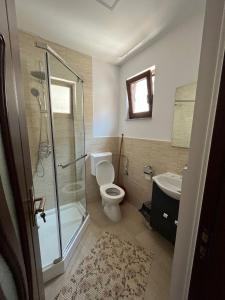 Un baño con ducha, inodoro y lavabo. en La Mona, en Bîrsana