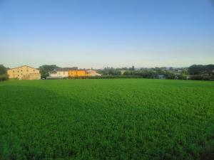 a field of green grass with houses in the background at Lavanda House in Vicenza