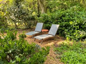 two chairs and a table in a garden at Huisje aan de Bosrand - Veluwe in Epe +44 photos