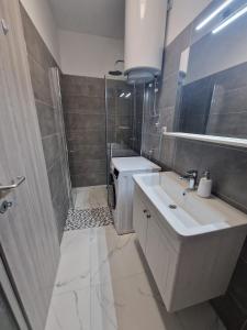 Koupelna v ubytování Apartman Ivan