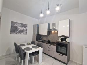 Kuchyň nebo kuchyňský kout v ubytování Apartman Ivan