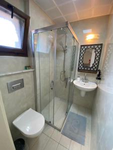 a bathroom with a shower and a toilet and a sink at Aral Turkuaz in Cesme
