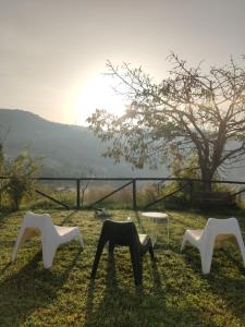 un grupo de sillas blancas sentadas en el césped en Villa Le Torrette, en Agropoli