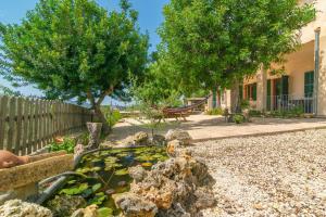 ペトラにあるFinca Son Puçaの池と木とブランコのある庭園