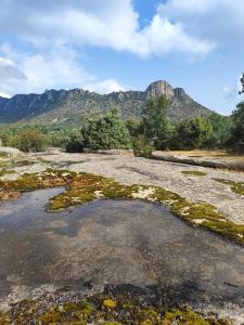 une grande étendue d'eau avec une montagne en arrière-plan dans l'établissement La Pérgola, à La Cabrera