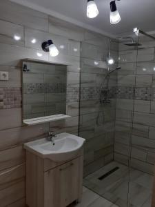 y baño con lavabo y ducha con espejo. en Casa Bambus Sovata 1, en Sovata
